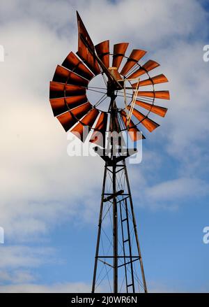 Ältere Southern Cross Bewässerung Windpumpe auf einem ländlichen Grundstück in Victoria. Stockfoto