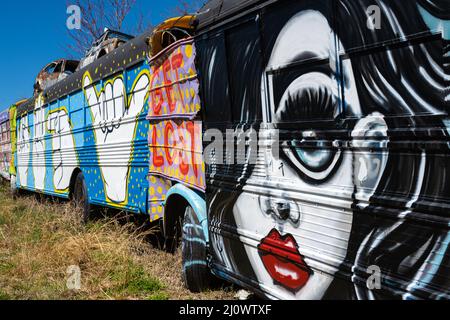 School Bus Graveyard, eine Attraktion am Straßenrand in Alto, Georgia. (USA) Stockfoto