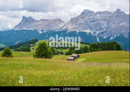 Pralongia Plateau in den Dolomiten Stockfoto