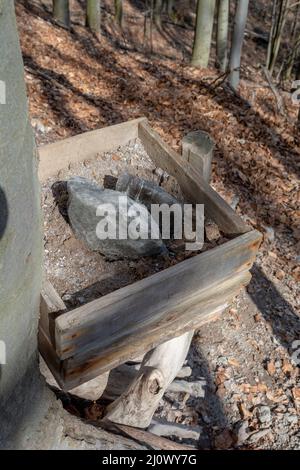 Ein Mineralleck im Wald. Salzblöcke bereit für die wilden Tiere. Stockfoto