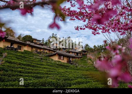 Sonnenaufgang im Lee Wine Rak Thai, chinesische Siedlung, Mae Hong Son, Thailand, wunderschöne Landschaft während des Sonnenaufgangs im chinesischen Dorf AMO Stockfoto