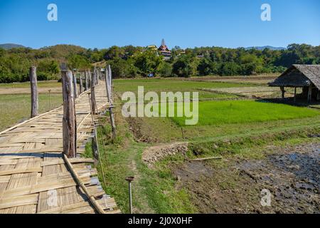 Die Bambusbrücke des Glaubens über die Reisfelder in Mae Hong Son Thailand, wunderschöne Aussicht auf die Bambusbrücke zu Tong Pae, vorbei am ric Stockfoto