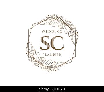 SC Initials Letter Hochzeit Monogram Logos Kollektion, handgezeichnete moderne minimalistische und florale Vorlagen für Einladungskarten, Save the Date, elegant Stock Vektor