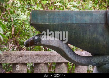 Das Rinnsal des Wassers, das aus Shiva Linga im Toganji-Tempel fließt. Nagoya. Japan Stockfoto