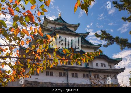 Der Haupthüter der Burg von Nagoya. Nagoya. Japan Stockfoto