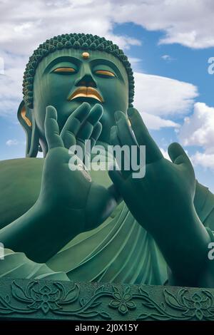 Der große Buddha von Nagoya am Toganji-Tempel. Nagoya. Japan Stockfoto