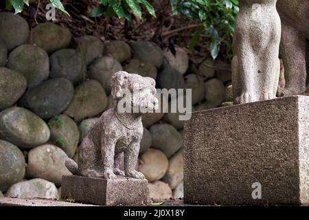 Ein Altar in dem Bereich, der den toten Haustieren gewidmet ist. Toganji-Tempel. Nagoya. Japan Stockfoto