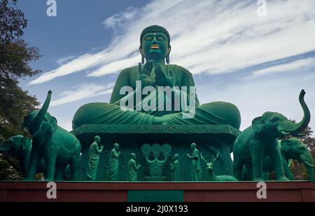 Der große Buddha von Nagoya am Toganji-Tempel. Nagoya. Japan Stockfoto