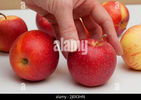 Rote Äpfel auf einem Tisch Stockfoto