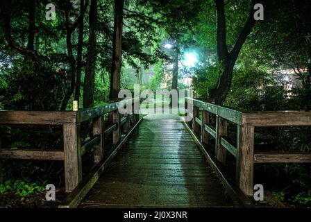 Inokashira Park, der in Nebel gehüllt war Stockfoto