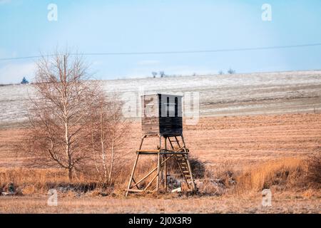 Jagdturm aus Holz in Wald Stockfoto