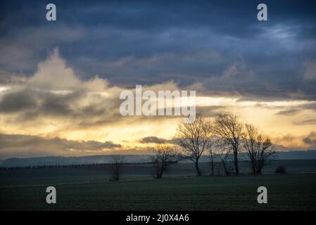 Abendlandschaft - Himmel mit Wolken über Wiesen und Wald. Stockfoto