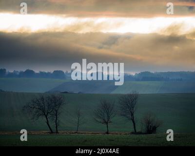 Abendlandschaft - Himmel mit Wolken über Wiesen und Wald. Stockfoto