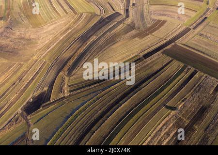 Über Luftaufnahme über landwirtschaftliche Felder im Herbst Stockfoto