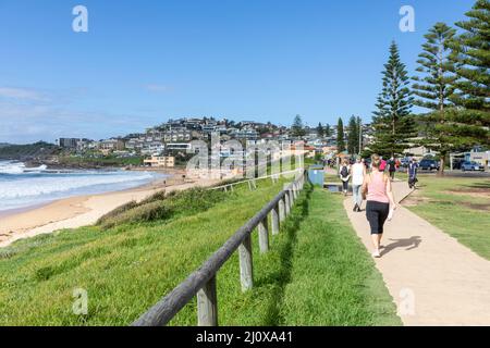 Dee Why to Curl Curl Coastal Walk, der bis Freshwater führt, Menschen nähern sich dem Vorort Curl Curl in Sydney, Sydney, NSW, Australien Stockfoto