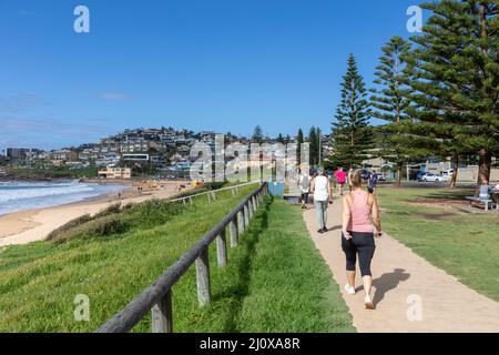 Dee Why to Curl Curl Coastal Walk, der bis Freshwater führt, Menschen nähern sich dem Vorort Curl Curl in Sydney, Sydney, NSW, Australien Stockfoto