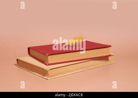 Ein Stapel alter, zerschlackter Bücher und getrockneter Lagurusblüten Stockfoto