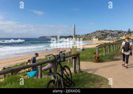 Teil der Dee Why to Manly Coastal Wanderroute entlang der Ostküste von Sydney, NSW, Australien an einem Herbsttag, Dame, die am Curl Curl Beach mit Hund unterwegs ist Stockfoto