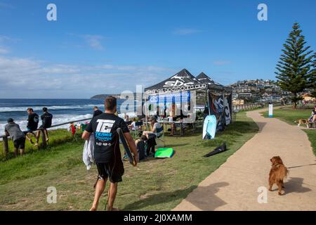 Küstenwanderweg von Dee Why nach Freshwater, hier am Curl Curl Beach auf halber Strecke, mit Sydney Bodyboard Club, Sydney, NSW, Australien Stockfoto