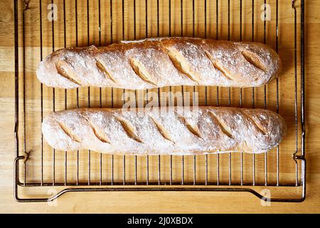 Frisch gebackenes hausgemachtes knuspriges Brot Baguette. Zwei Brote kühlen auf Metallrost ab Stockfoto