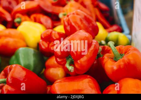 Nahaufnahme von frischen roten Paprika. Hochwertiges, schönes Fotokonzept Stockfoto