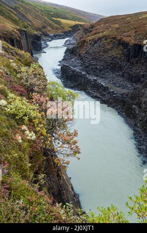 Herbst die malerische Studlagil-Schlucht ist eine Schlucht in Jokuldalur, Ostisland. Berühmte säulenförmige Basaltsteinformationen und Jokl Stockfoto