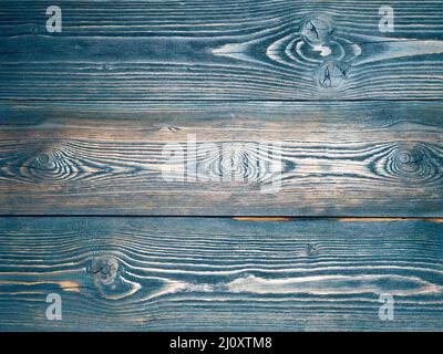 Blau, dunkelblau, Holzhintergrund aus Kiefernholzplatten, die Struktur des Baumes mit Ästen kontrastierend Stockfoto