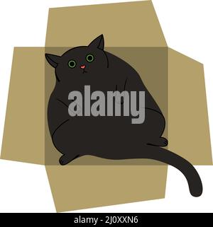 Fat schwarze Katze liegt in einer Box lustige Illustration in flacher Form Stock Vektor