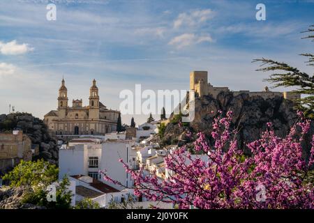 Ein Blick auf das malerische weiß getünchte Dorf Olvera in Andalusien Stockfoto