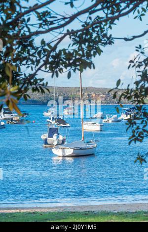 Boote, die in der Sommersonne am späten Nachmittag am Balmoral Beach im Hafen von Sydney, Australien, festgemacht wurden Stockfoto