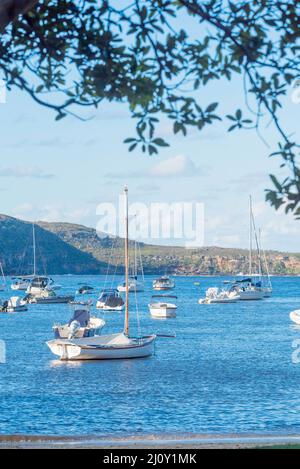 Boote, die in der Sommersonne am späten Nachmittag am Balmoral Beach im Hafen von Sydney, Australien, festgemacht wurden Stockfoto