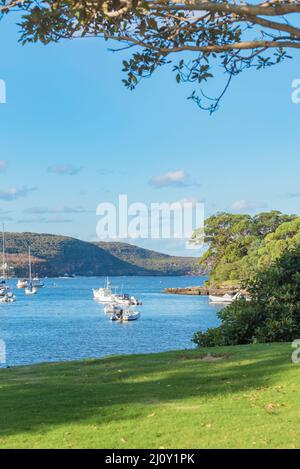 Boote, die in der Sommersonne am späten Nachmittag am Balmoral Beach im Hafen von Sydney, Australien, festgemacht wurden. Stockfoto