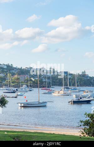 Boote, die in der Sommersonne am späten Nachmittag am Balmoral Beach im Hafen von Sydney, Australien, festgemacht wurden Stockfoto