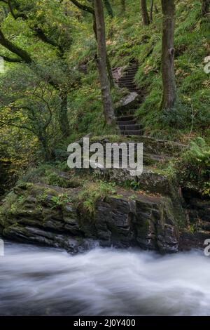 Blick auf das schnell fließende Wasser im East Lyn River Stockfoto