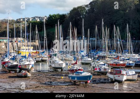 ILFRACOMBE, DEVON, Großbritannien - 19. OKTOBER: Blick auf den Hafen von Ilfracombe am 19. Oktober 2013 Stockfoto