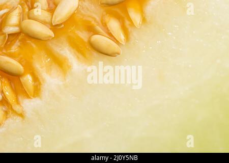 Honigmelonen-Samen. Hochwertige Fotos Stockfoto