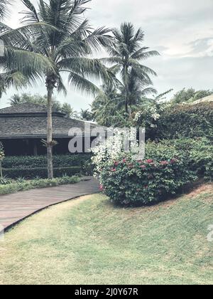 Villa umgeben von Palmen und üppig in einem wunderschönen grünen Garten im tropischen Resort Stockfoto