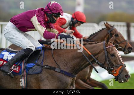 Fileboto vom 13-11-2020 von Castle Robin, der seine Tonaufnahme über Zäune verbessern kann, indem er die Every Race Live auf der Limited Handicap Chase von Racing TV-Novizen in Wetherby gewinnt. Ausgabedatum: Montag, 21. März 2022. Stockfoto