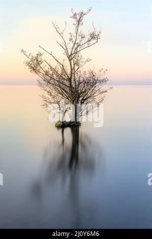 Morgengrauen auf Lough Neagh, Nordirland Stockfoto