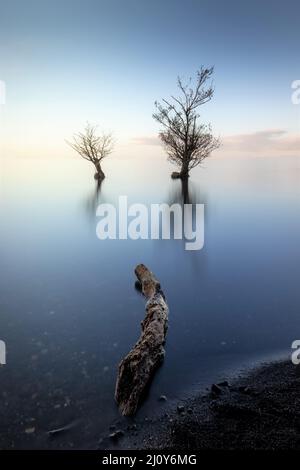 Morgengrauen auf Lough Neagh, Nordirland Stockfoto