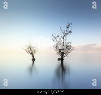 Morgengrauen auf Lough Neagh, Nordirland Stockfoto