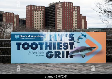 Ein großes skurriles Schild auf dem Riegelmann Boardwalk von Coney Island, das die Menschen dazu anregt, das New York Aquarium zu besuchen und die Haie zu sehen. Brooklyn, NYC. Stockfoto