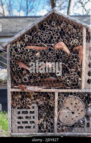 Bug Hotel, Coram's Fields, Bloomsbury, London, Großbritannien Stockfoto