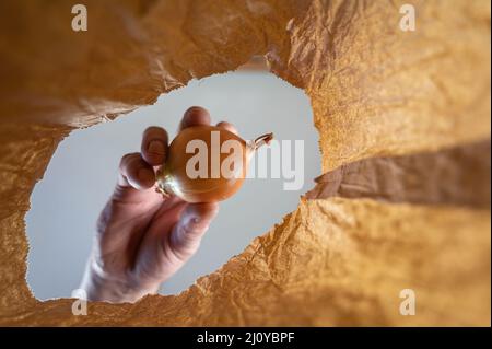 Eine Hand legt eine braune Zwiebel in einen Papierbeutel. Die Hand eines reifen Mannes hält ein reifes Gemüse über einem offenen braunen Beutel. Von unten nach oben geschossen. Nahaufnahme. Sele Stockfoto