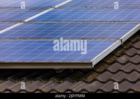 Solarzellen auf dem privaten Dach wandeln Sonnenlicht über Photovoltaikzellen direkt in elektrische Energie um Stockfoto