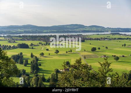 Blick auf die Landschaft und den Forggensee vom Schloss Neuschwanstein in Füssen Stockfoto