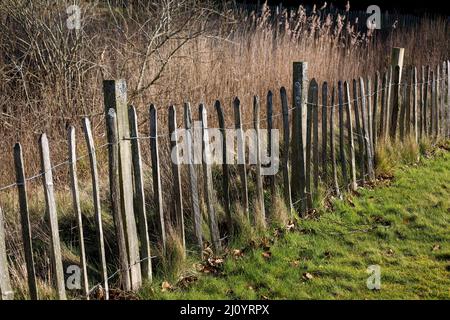 Alte Holzpfähle und Drahtzaun an einem Landweg im Winter Stockfoto