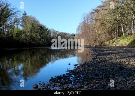 Blick auf den Fluss Ayr im Südwesten Schottlands im Winter Stockfoto