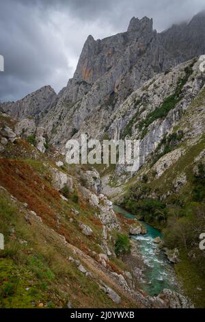 Ruta del Cares Trail Naturlandschaft im Nationalpark Picos de Europa, Spanien Stockfoto