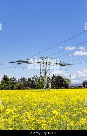 Energieversorgung durch grünen Strom - Hochspannungspylon mitten in einem Rapsfeld Stockfoto
